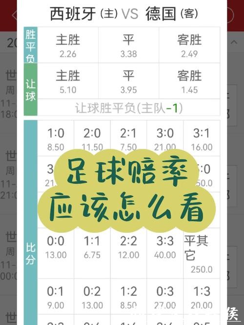 世界杯下注APP：实时赔率分析功能详解